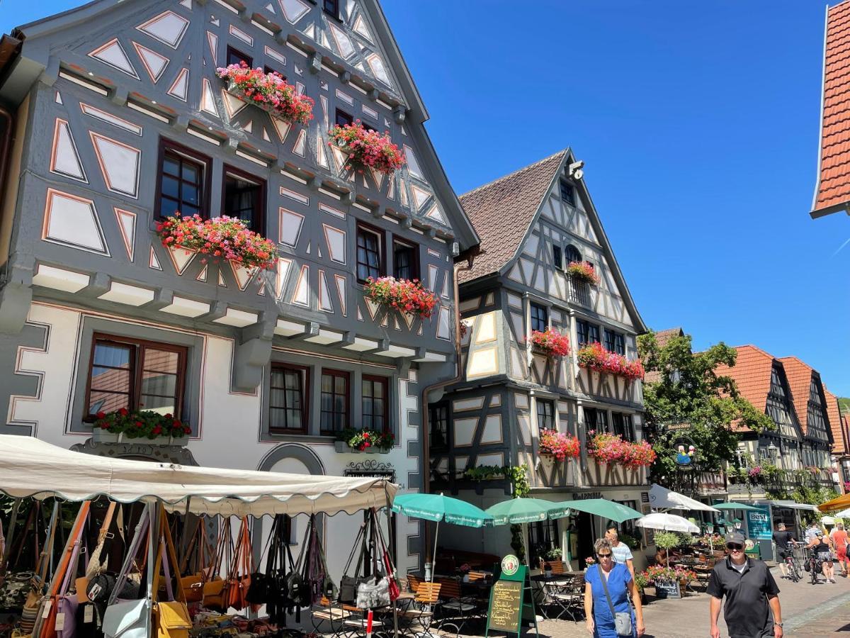 Gaestehaus Klingler Besigheim Exterior foto