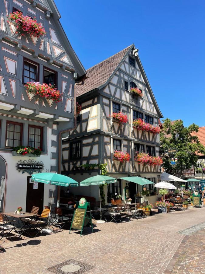 Gaestehaus Klingler Besigheim Exterior foto